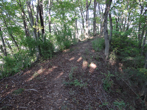 20161104hike (270)